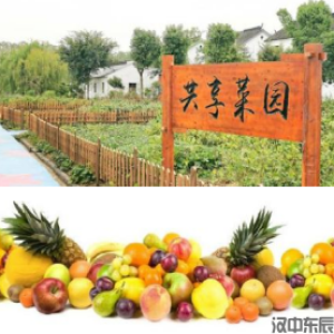 二年级主题8  家乡的蔬菜与水果