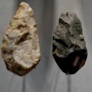 五年级主题8  探秘龙岗遗址文明