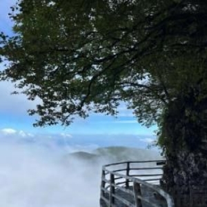 六年级主题2：如何擦亮家乡旅游品牌